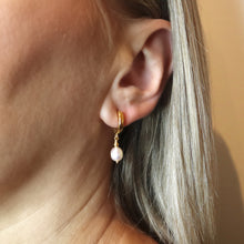 Load image into Gallery viewer, Dögg Huggie Earrings