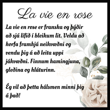 Load image into Gallery viewer, La Vie en Rose Necklace